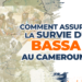 COMMENT ASSURER LA SURVIE DU BASSA AU CAMEROUN?