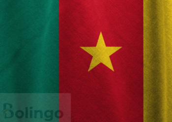 COMMENT ASSURER LA SURVIE DU BASSA AU CAMEROUN?