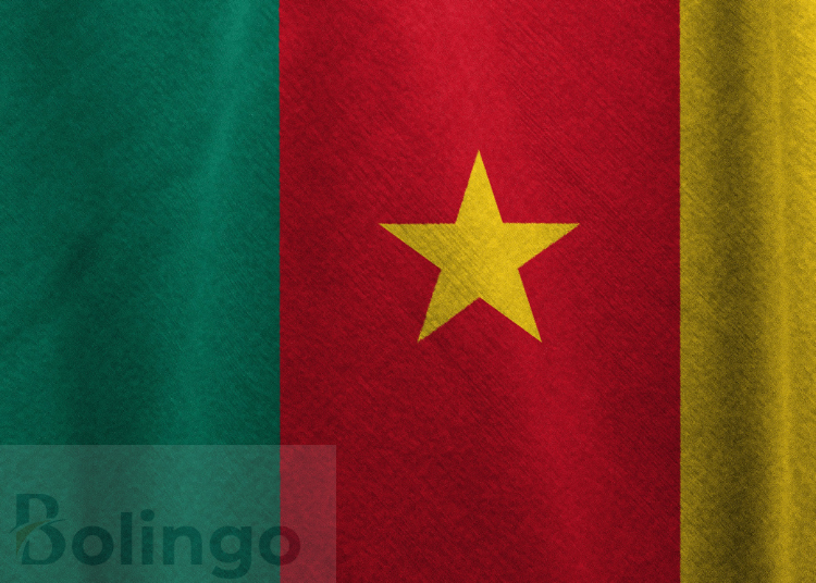 COMMENT ASSURER LA SURVIE DU BASSA AU CAMEROUN?