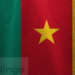 COMMENT ASSURER LA SURVIE DU BASSA AU CAMEROUN?