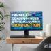 CAUSES ET CONSÉQUENCES D&rsquo;UNE MAUVAISE TRADUCTION