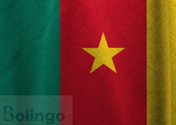 Camfranglais : A Linguistic Identity for Youth in Cameroon