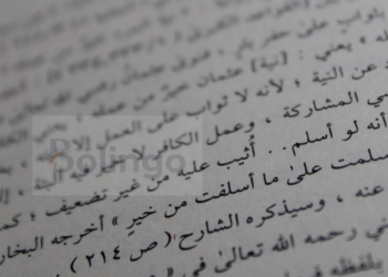 Language variations: the case of Arabic